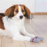 Trixie Kutyazokni Csúszásgátló talppal M-L Szürke - Otthoni viselet sérült és idős kutyáknak