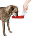 TRIXIE Műanyag itató kutyusok számára - 250 ml