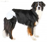 TRIXIE pelenka nadrág nőstény kutyáknak S-M csípő kerület 28-40 cm 12db