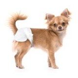 TRIXIE Pelenkák kutyák részére - 12 db, méret XS-S