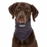 TRIXIE Rovarriasztó kutyasál L, szürke