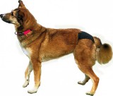 TRIXIE Tüzelőbugyi Xl Fekete 60–70cm