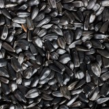 TRÓPUS 600 ml mag csomagolt napraforgó fekete