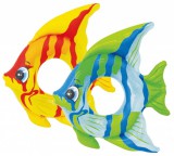 Trópusi hal úszóöv sc-1161