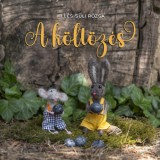 TROUBADOUR BOOKS KFT Illés-Süli Rózsa: A költözés - könyv