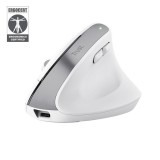 Trust Bayo+Wireless Bluetooth Mouse White 25399