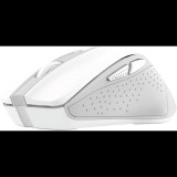 Trust NITO Silent Wireless Mouse White (25550)