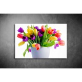 Tulipános Vászonkép 016 vi-016