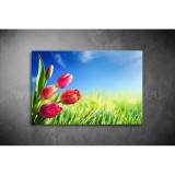 Tulipános Vászonkép 047 vi-047