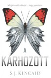 Twister Média Kft. S. J. Kincaid: A kárhozott - könyv