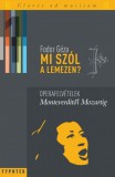 Typotex Kiadó Fodor Géza: Mi szól a lemezen? 1. kötet - könyv