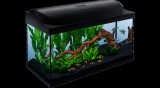 Tetra Starter Line 105 LED akvárium szett fekete