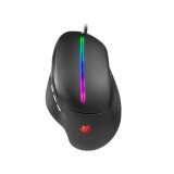 Tracer Snail, GameZone, 6400 DPI, RGB háttérvilágítás, USB, Optikai, Fekete, Vezetékes egér