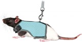 Trixie Soft Soft strapabíró hám és póráz patkányoknak (12–18 cm; 1.20 m)