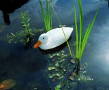 Ubbink Állatfigura fehér kacsa, 38,5 cm