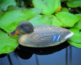 UBBINK Állatfigura nőstény vadkacsa, 40 cm