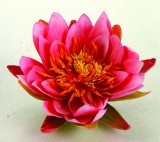 Ubbink Selyemvirág, pink tavirózsa, 16 cm