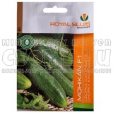 UBORKA - MOHIKÁN F1- VETŐMAG ROYAL SLUIS - 1G