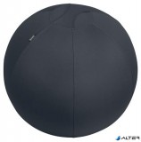 Ülőlabda, nehezékkel, 65cm, LEITZ "Ergo Active", sötétszürke
