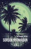 Underground Kiadó és Terjesztő Kft. Piltmann Péter: Sorsok nyomában - könyv