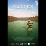 USC Games Walden, a game (PC - Steam elektronikus játék licensz)
