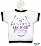 Üvegpóló, Így néz ki a világ legjobb mamája