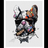 Vagány bulldog számfestő készlet