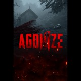 Vault Interactive Agonize (PC - Steam elektronikus játék licensz)