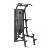 Vector Fitness Novum húzódzkodó-tolódzkodó gép