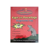 VegyiMester egér és rovarfogó kicsi ragasztós lap