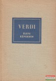 Verdi élete képekben