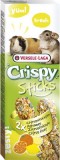 Versele Laga Crispy Sticks Guinea Pigs-Chinchillas Citrus Fruit 2 pieces 110 g