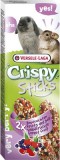 Versele Laga Crispy Sticks Rabbits-Chinchillas Forest Fruit 2 pieces 110 g