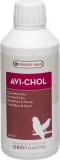 Versele Laga Oropharma Avi-Chol - 250 ml