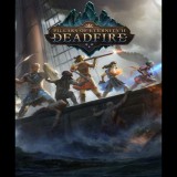 VERSUS EVIL Pillars of Eternity II: Deadfire (PC - Steam elektronikus játék licensz)