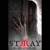 VERSUS EVIL Stray Souls (PC - Steam elektronikus játék licensz)