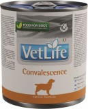Vet Life Dog Convalescence konzerv 300 g