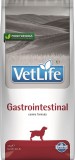 Vet Life Dog Gastrointestinal 12 kg