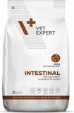 VetExpert Veterinary Diet Intestinal kutyáknak 2 kg
