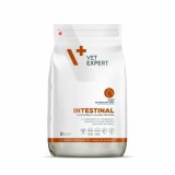 VetExpert Veterinary Diet Intestinal macskáknak 2 kg