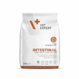 VetExpert Veterinary Diet Intestinal macskáknak 250 g
