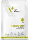 VetExpert Veterinary Diet Recovery tasak macskáknak 100 g KARTON - 12 db