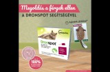 Vétoquinol Dronspot 96 mg/24 mg rácsepegtető oldat nagytestű macskákna A.U.V. (2x1,12 ml; 5-8 kg közötti macskáknak) 2 db ampulla