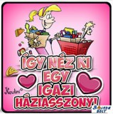 Vicces hűtőmágnes, Így néz ki egy igazi háziasszony