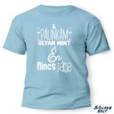 Vicces póló több színben, A pálinkám olyan mint én, nincs párja