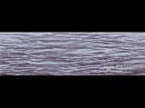 Victoria krepp papír, 50x200 cm, gyöngyház lila
