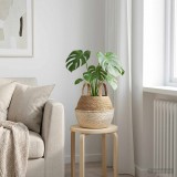vidaXL Kézi növényedény Fehér Ø 22 x 20 cm 100% Tengeri fű
