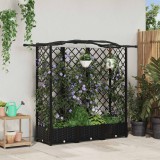 vidaXL Magasított Ágy Trellis-szel és Tetővel Fekete 163 x 40 x 123 cm