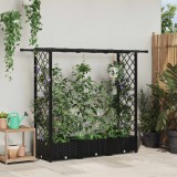 vidaXL Magasított Ágy Trellis-szel és Tetővel Fekete 164 x 40 x 121 cm