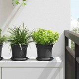 vidaXL Növénycserép 24 pcs Fekete Ø 15 x 12 cm Műanyag